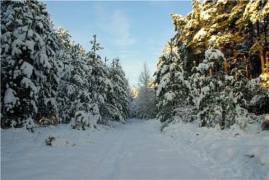 Xbox老板：《使命召唤》不会学《霍格沃茨之遗》搞独占内容