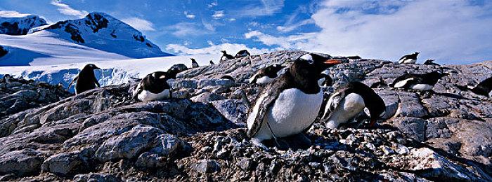 《以撒的结合：重生》PC更新1.7.5版本 官方中文上线